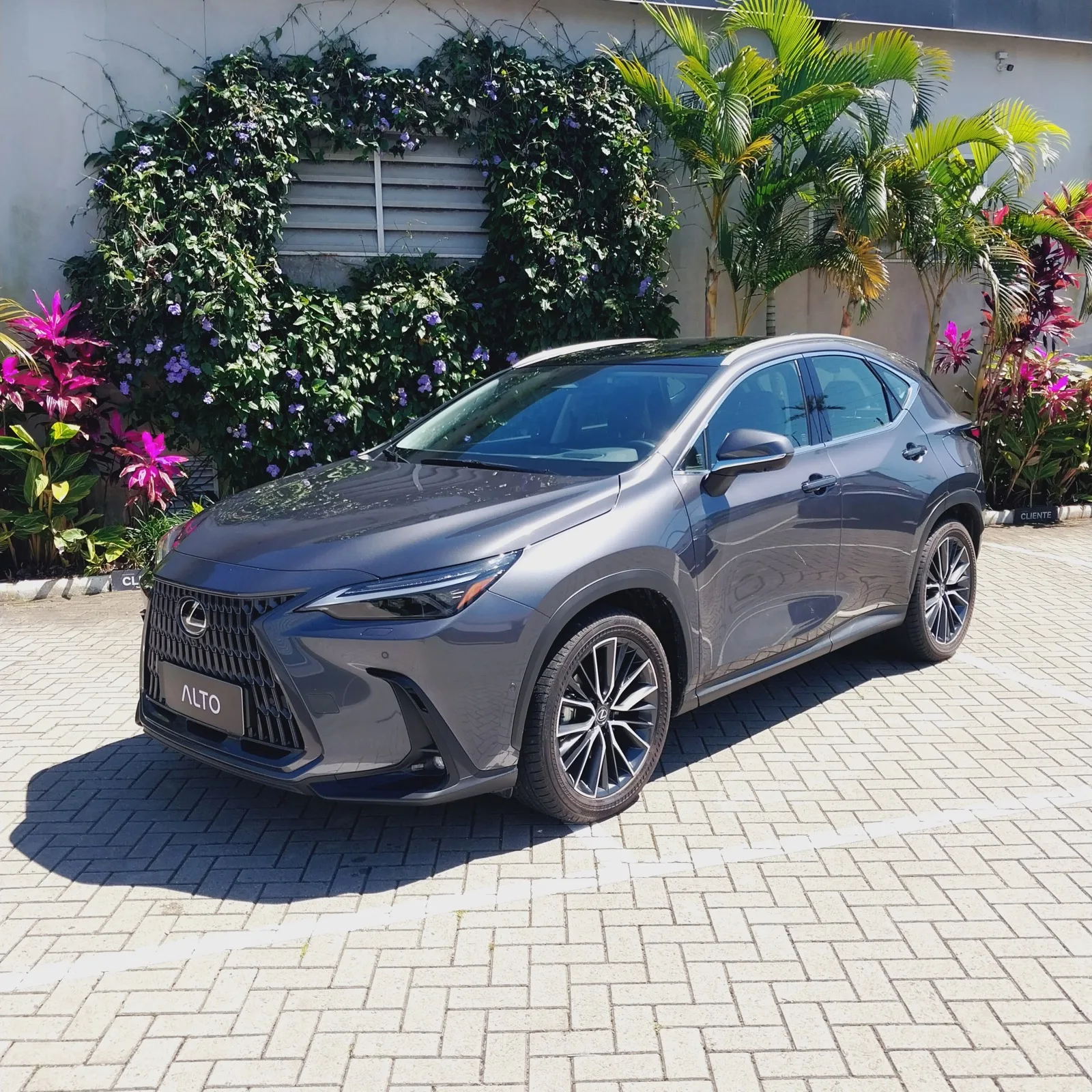 Lexus NX 450h 2026